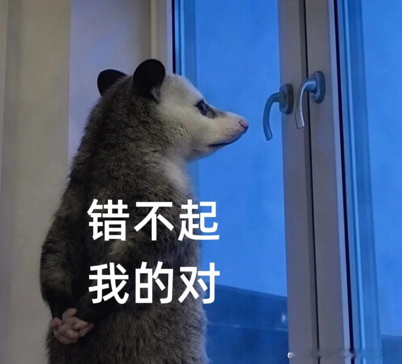 昨晚欧冠资格赛第二轮首回合开打，三场比赛走下来，咱们的方向不幸遭遇了滑铁卢，3场