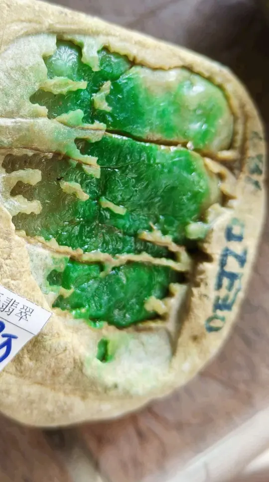 什么狗屁的爱不爱。那都是扯淡。