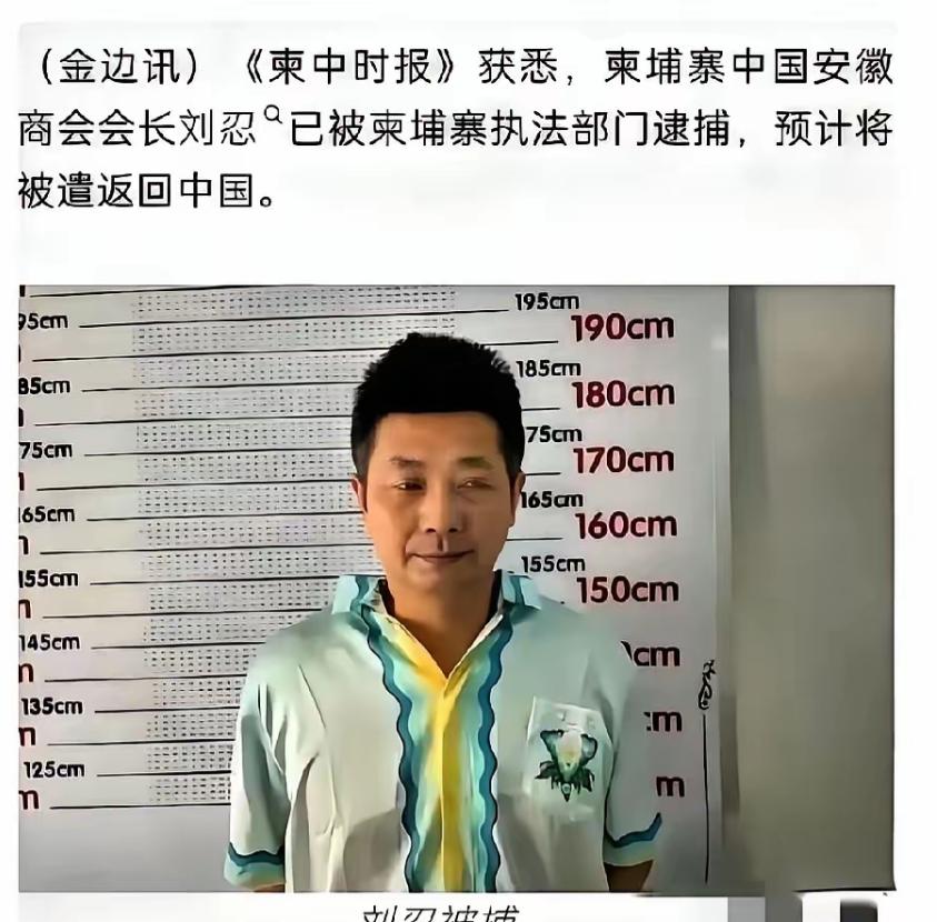 最可怕的内鬼终于浮出水面！柬埔寨电诈园区的幕后大佬，竟然是我们信任的商会会长。