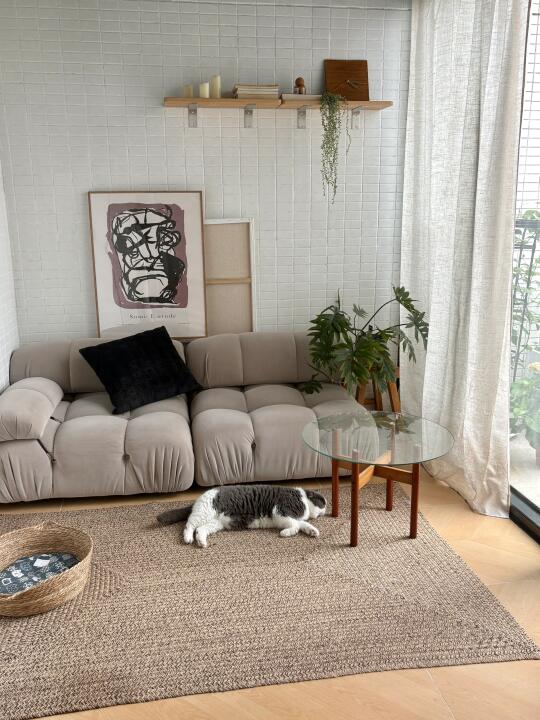 到处塞车的五一🍃窝在78㎡小屋里度假