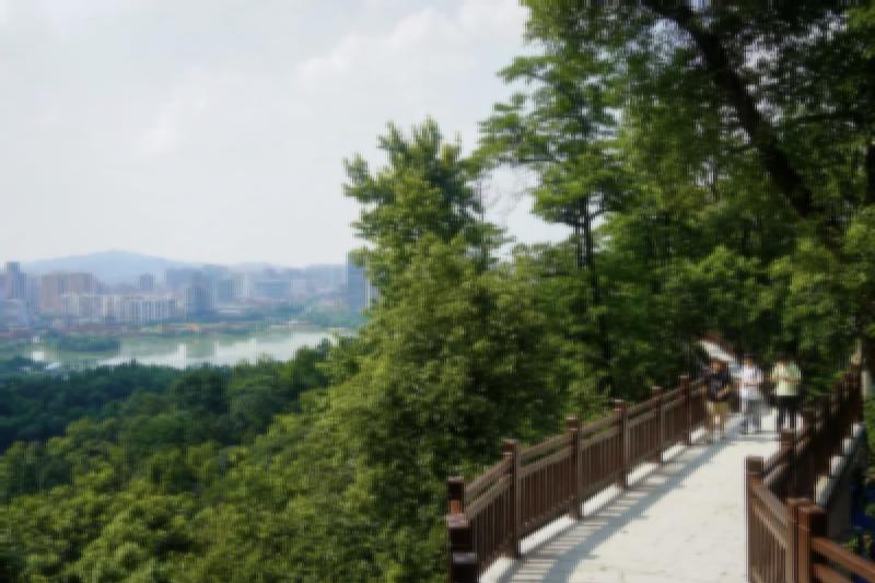 麓山新径开，端午赴山林之约
 
初夏麓山，翠色正浓。端午假期前夕，岳麓山景区全域