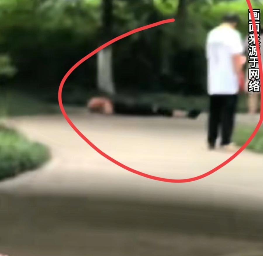 重庆理工雅苑现场，绿化树林小路上，一名男子穿着白色短袖体恤衫、黑色裤子、白色球鞋