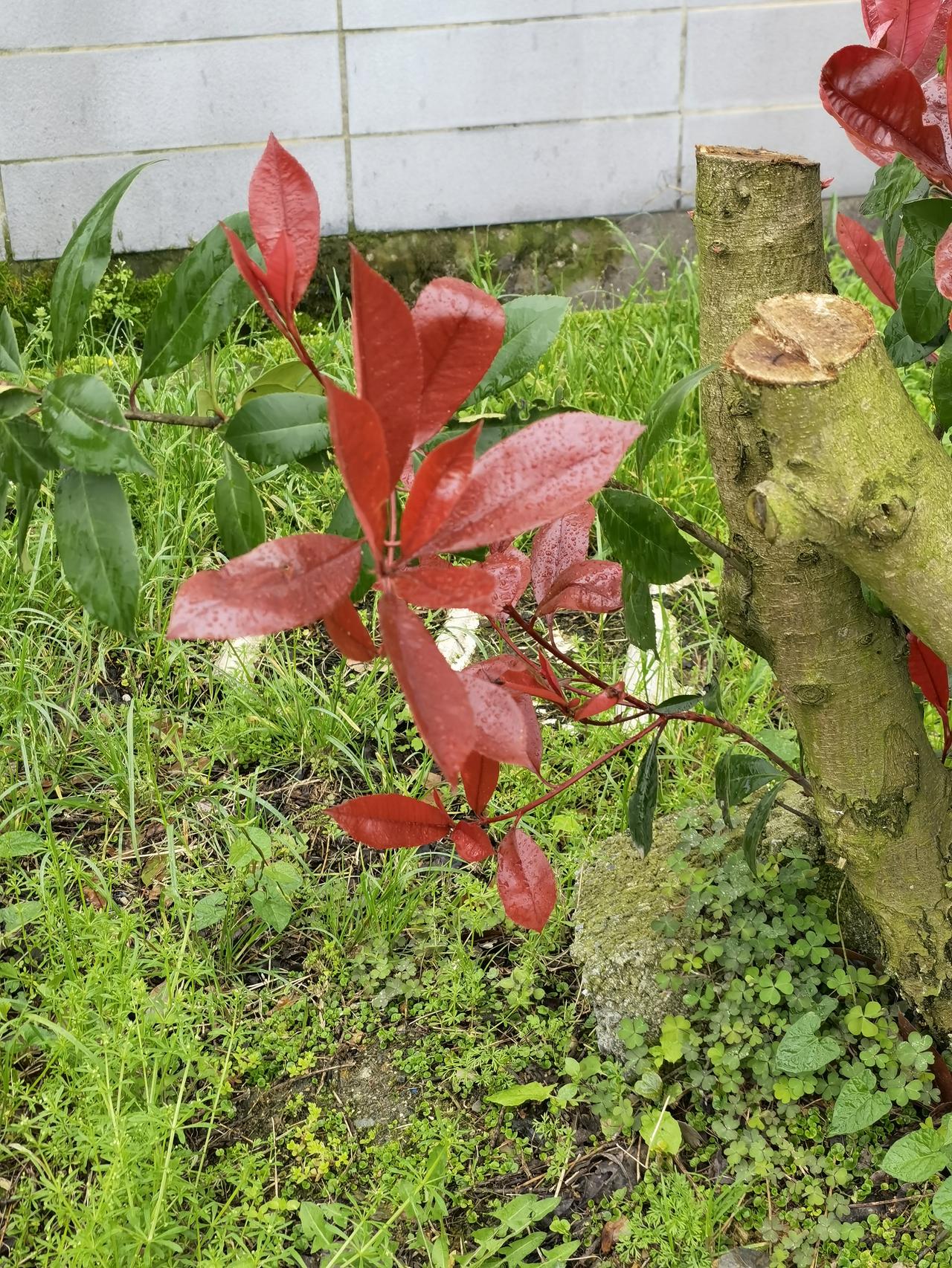 出差直击城市反差！聊城与遵义的年轻人现状太真实了
 
一路出差从山东聊城到贵州遵