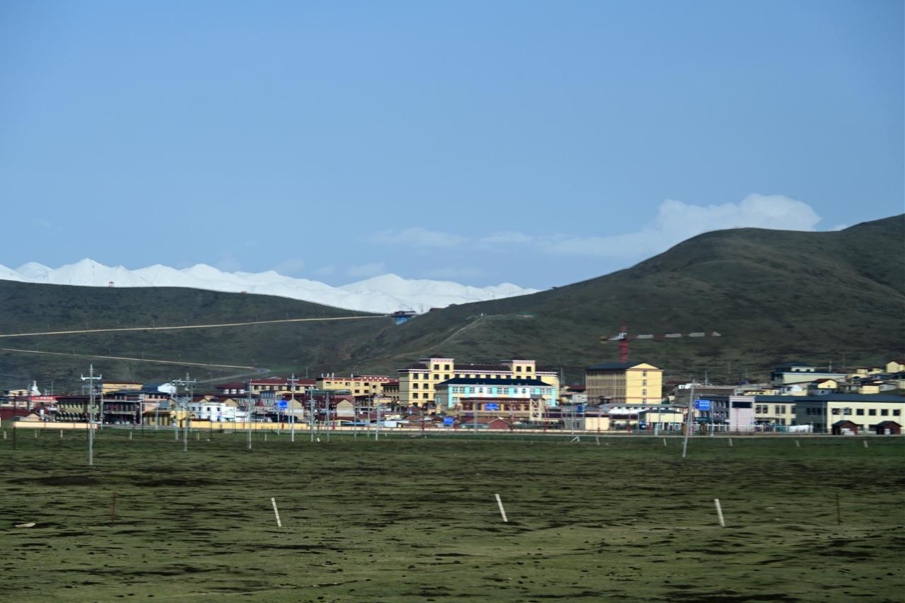 五月初的阿万仓湿地

早晨从玛曲县城出发时，天边才刚泛起鱼肚白。车子沿着草原上的