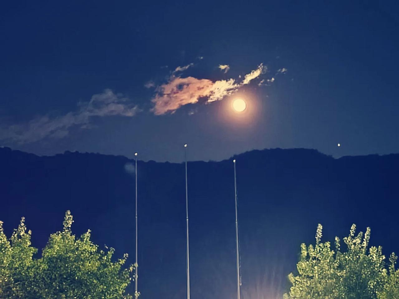 秋风轻拂带微寒，
枫林霜降叶渐斑。
东篱秋菊展千姿，
北雁翱翔越万山。
高楼独倚