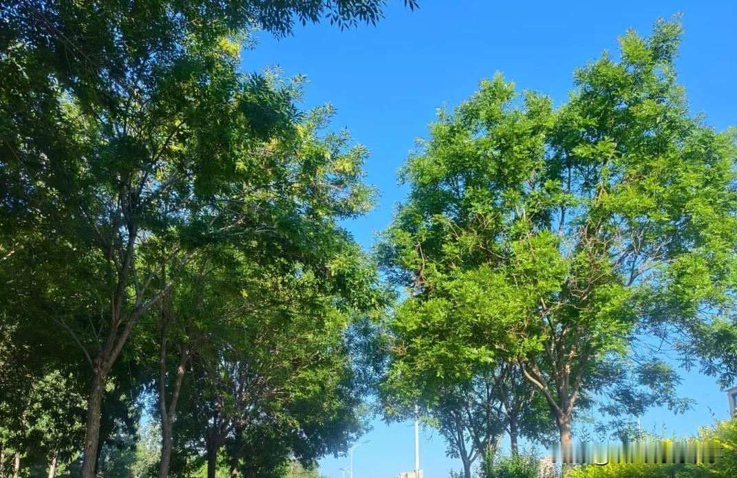 ❤️内卷时代，商业战争已经开始，商业的动态格局已经开始，日后成为常态，也就是赚钱