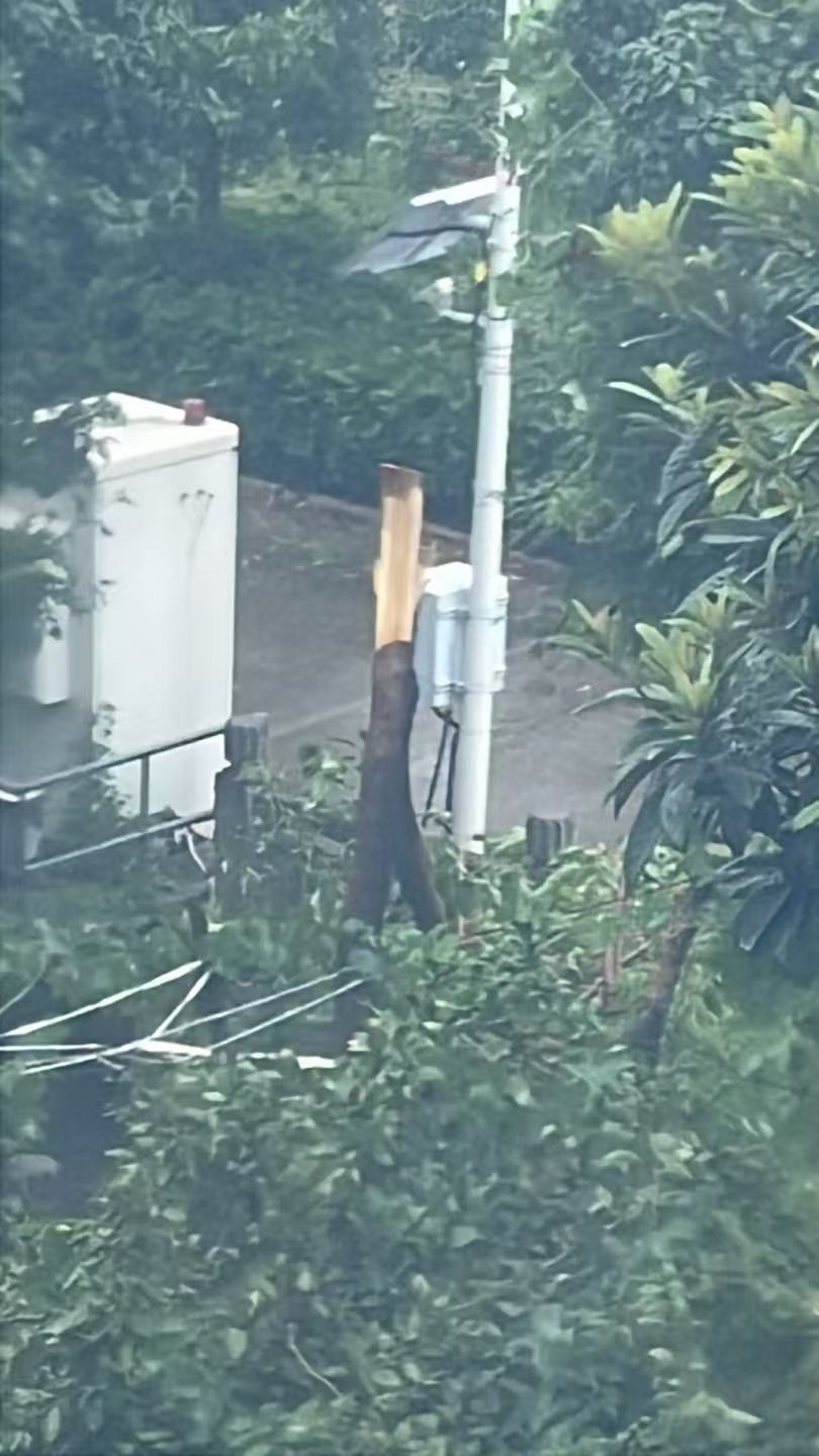 白海豚我狗没有雨衣陪你闹了。 