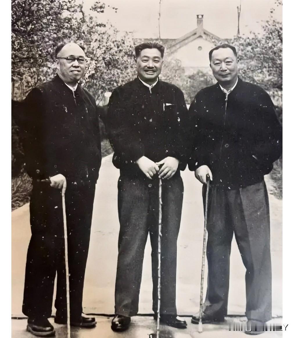 这才是贺龙元帅他们三人的真实貌相，不是演员所饰演的角色！这张珍贵的老照片摄于上世