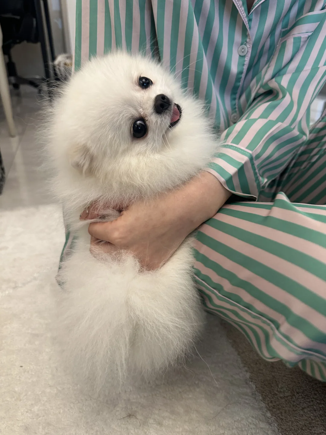 宝宝看起来手感很好的样子૮˶ฅˊᗜˋฅ˶ა