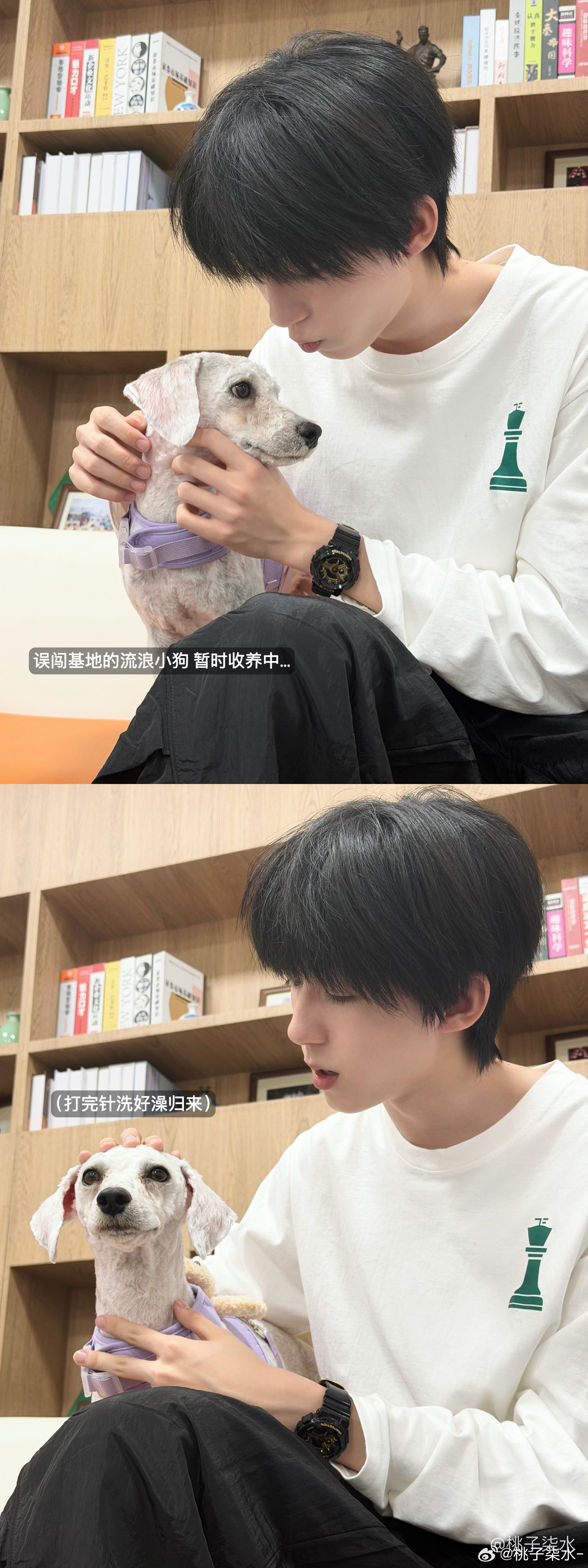 突突这又是谁的人生！ 