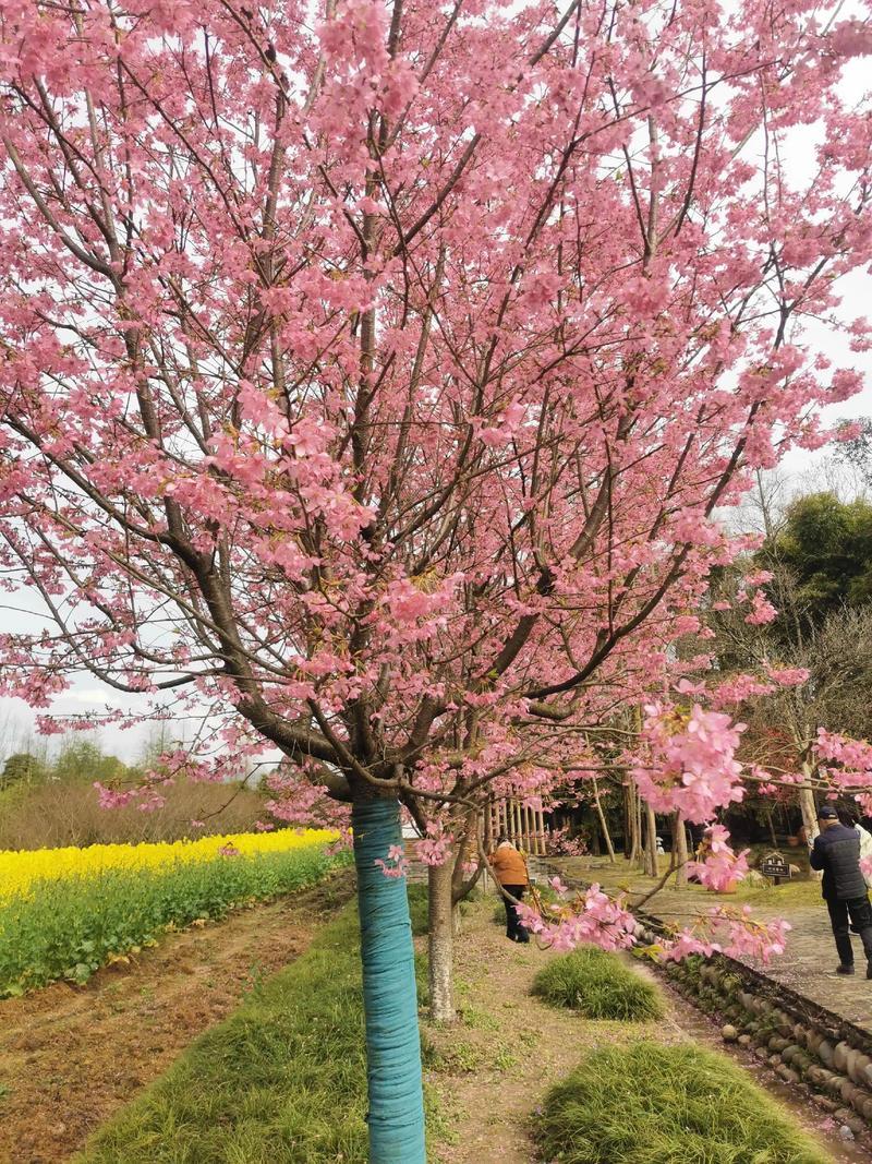 晒出你的本地生活