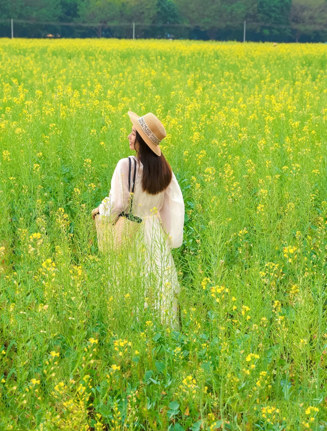 广州花海本周实拍🌸本地人推荐4个赏花地