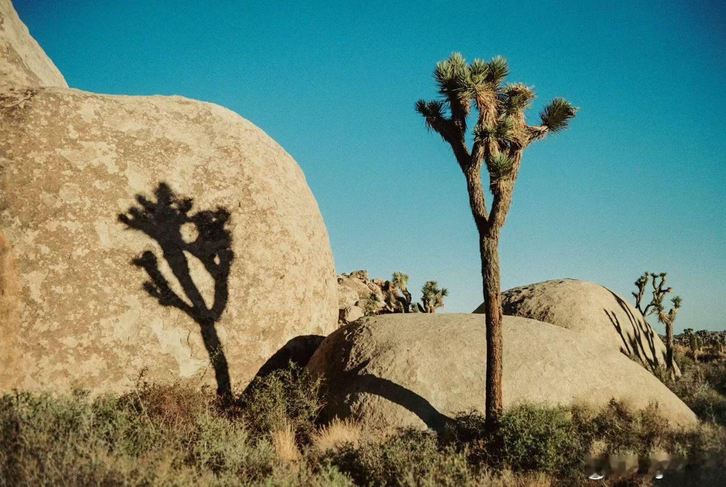 总是对什么事情念念不忘实在是一件要命的事。但是比起故意去忘记什么来说，这种念念不