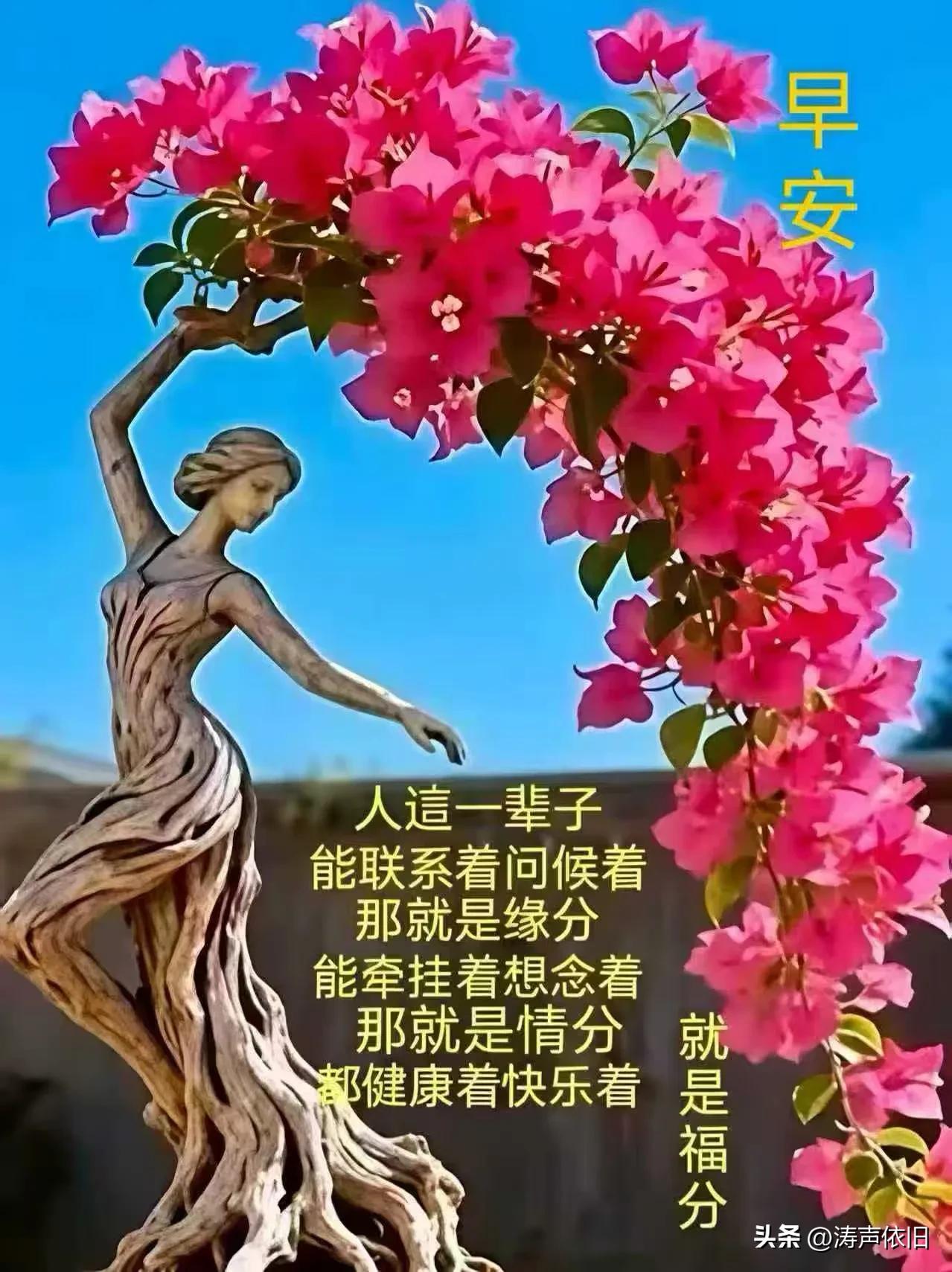 《卜算子·新晨寄怀》

晓日启新程，
俗虑随风逝。
淡把光阴自在吟，
岁岁添清趣