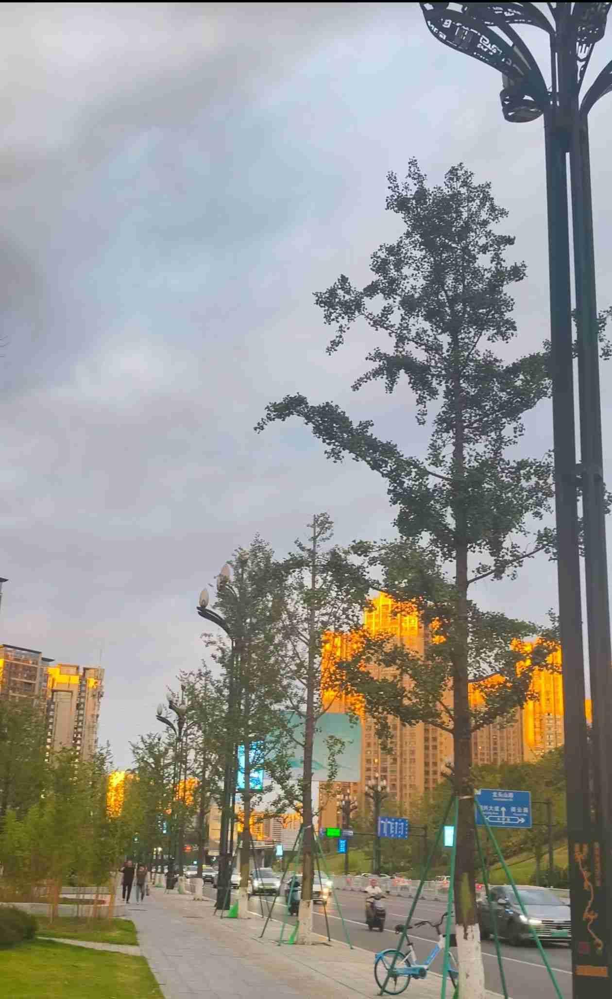 警惕，AI在大量毁灭人类的认知！

当越来越多的人在用AI的时候，不知道大家有没