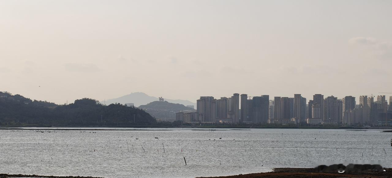 远眺坪山郑成功。