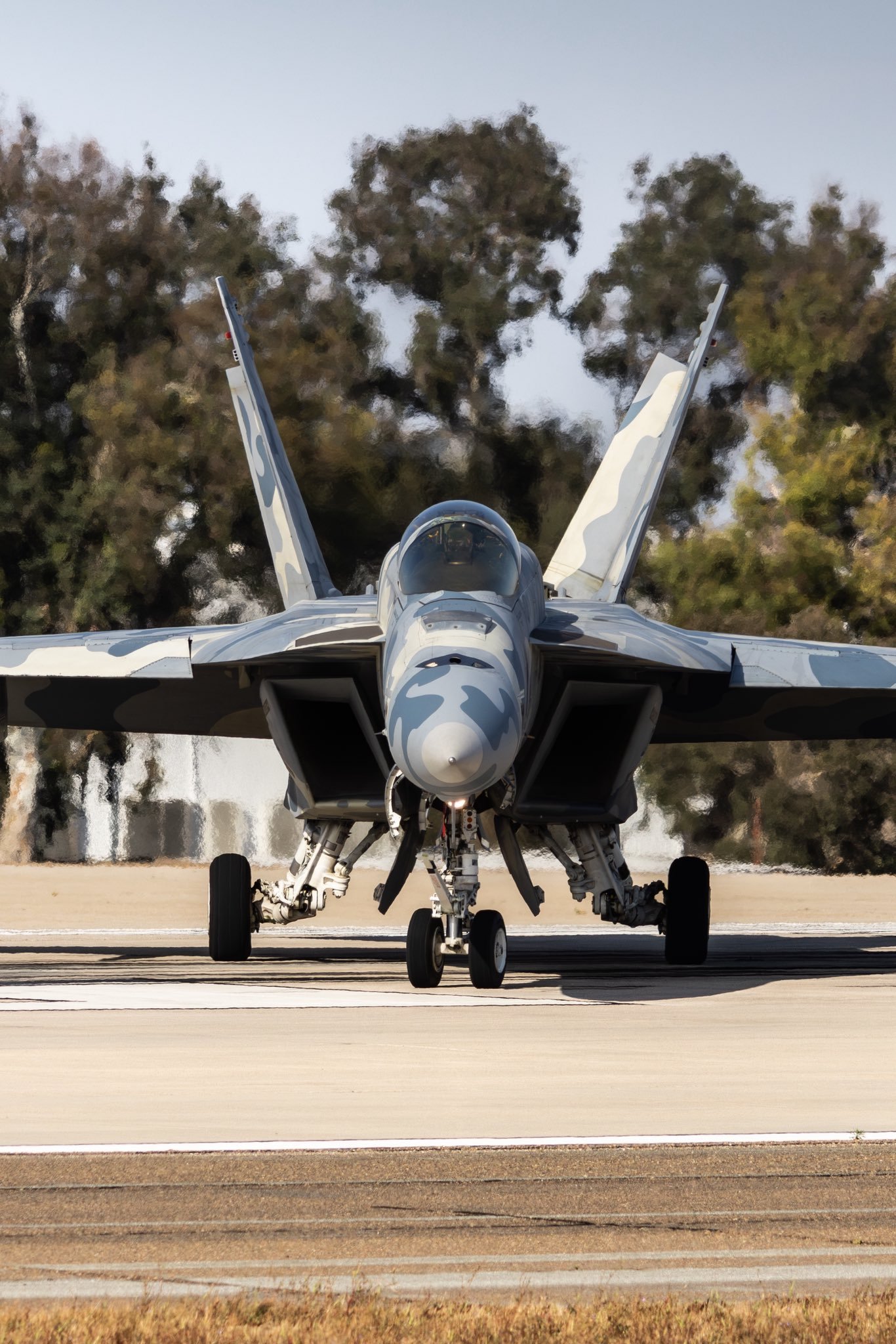 VFC-12假想敌中队的的一架F/A-18E在北岛海军航空站(NAS North