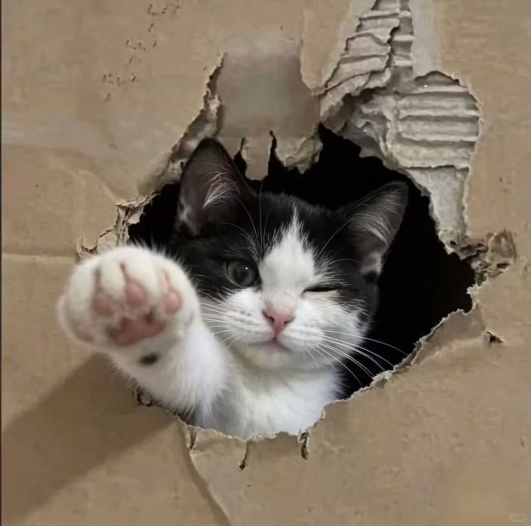 ⠀ 