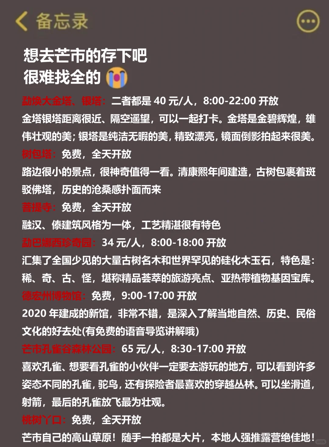 写给10-11月想去芒市的姐妹‼️超全攻略