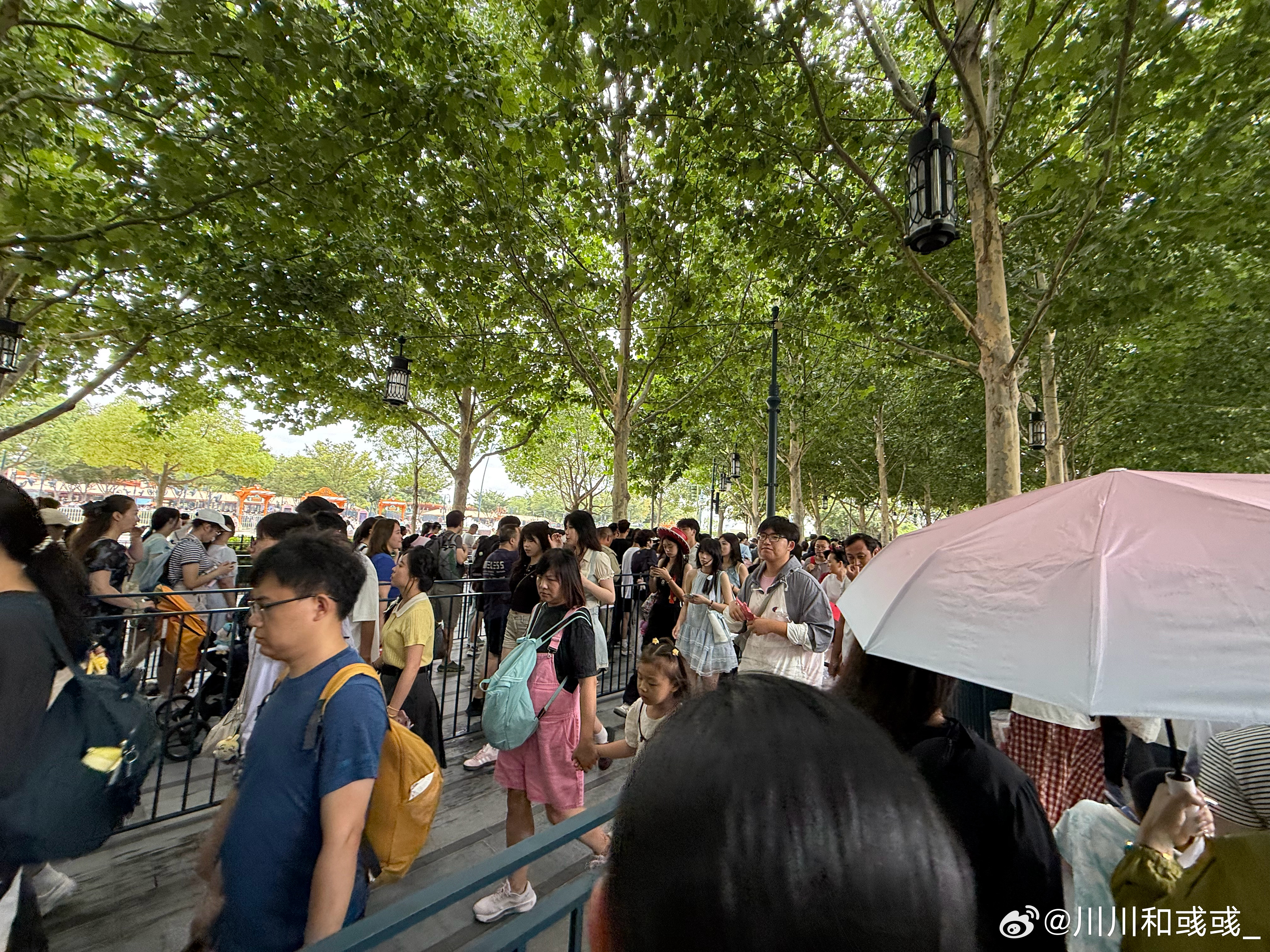 大家好，已经在排队了，这就是没早享的下场[二哈]  ​​​
