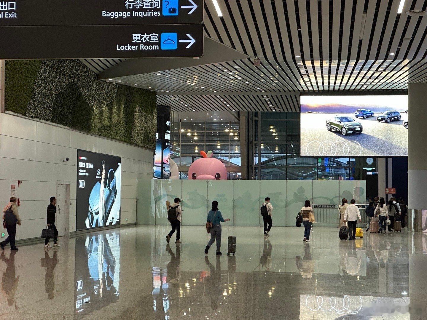 每一个降落广州的人，都逃不过大湾鸡锐利的目光 