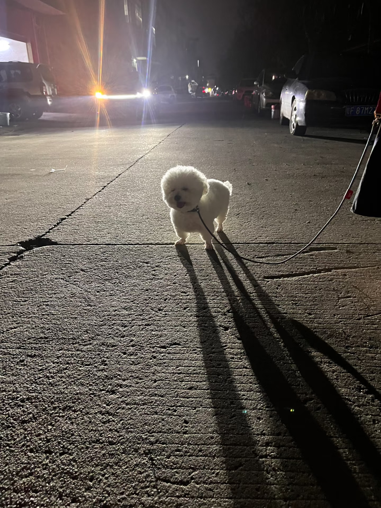 今天站在光下，假装是女明星