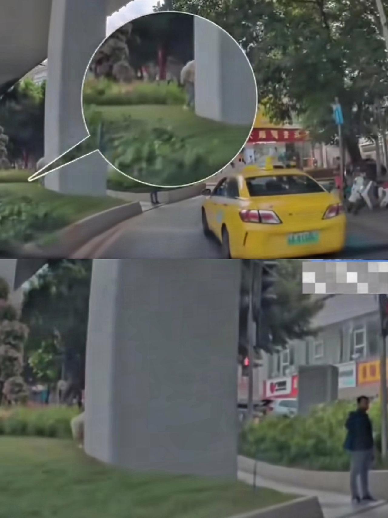 “最担心的事情还是发生了”
印度引进的优秀人才，
在人来人往的街头，钻进绿化带，