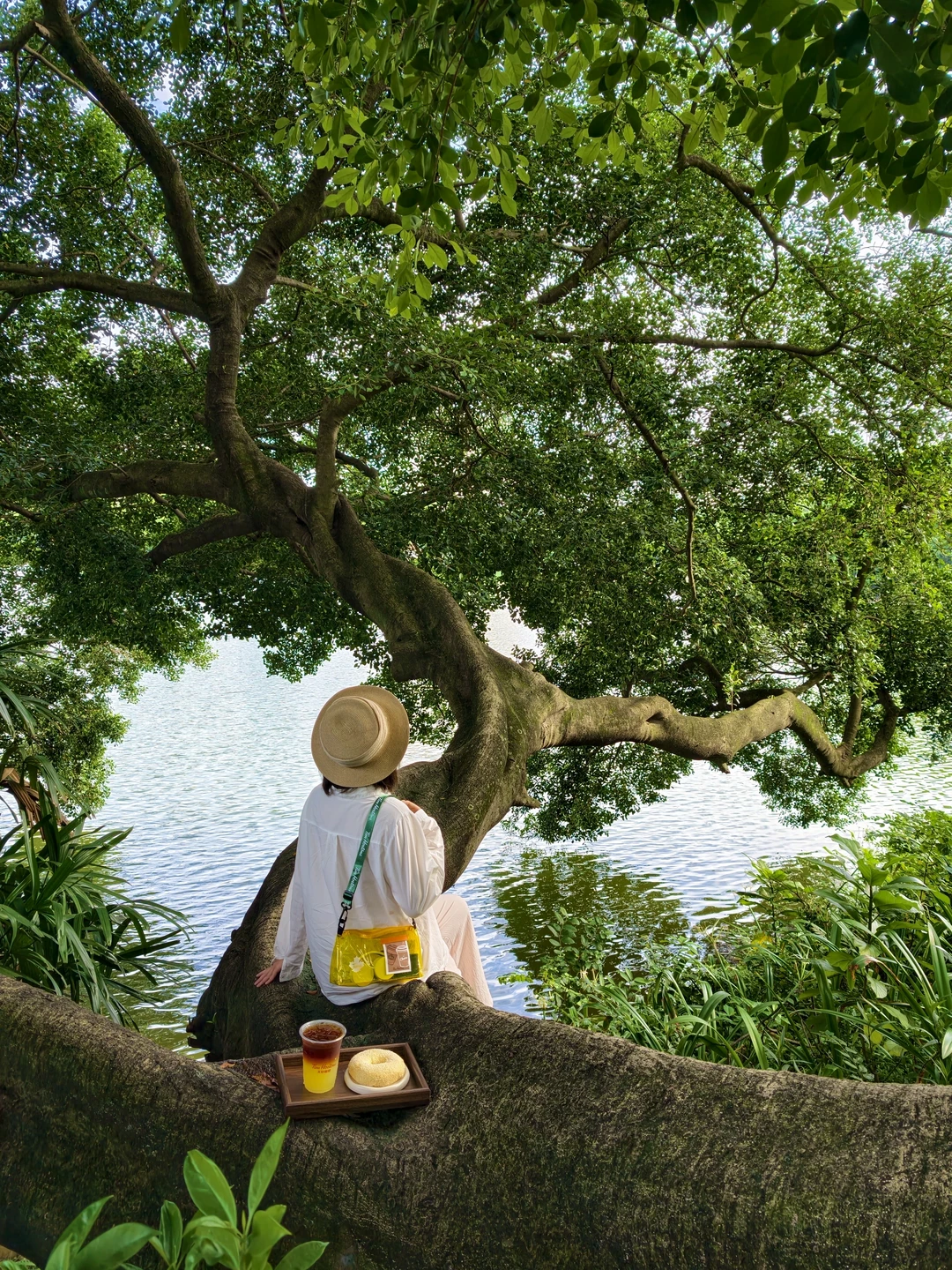 人类迷恋夏日🍃在公园看书，吃早餐，认真生活