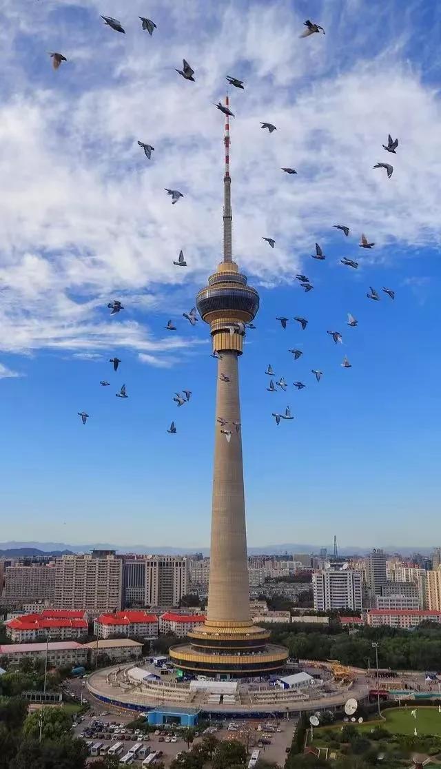
双十一不仅仅是一场购物狂欢，更是一次生活态度的展现。在这个过程中，我们不仅能以