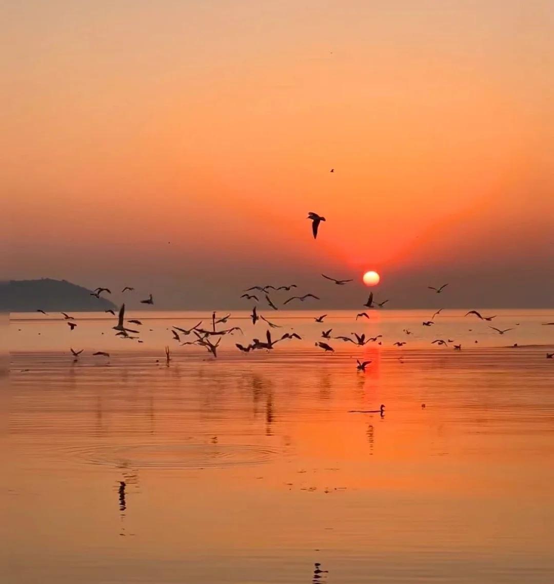 🏞️初五2.21不是洱海冲山岛的海鸥莎疯了🚶
📅 活动时间：7:00-20
