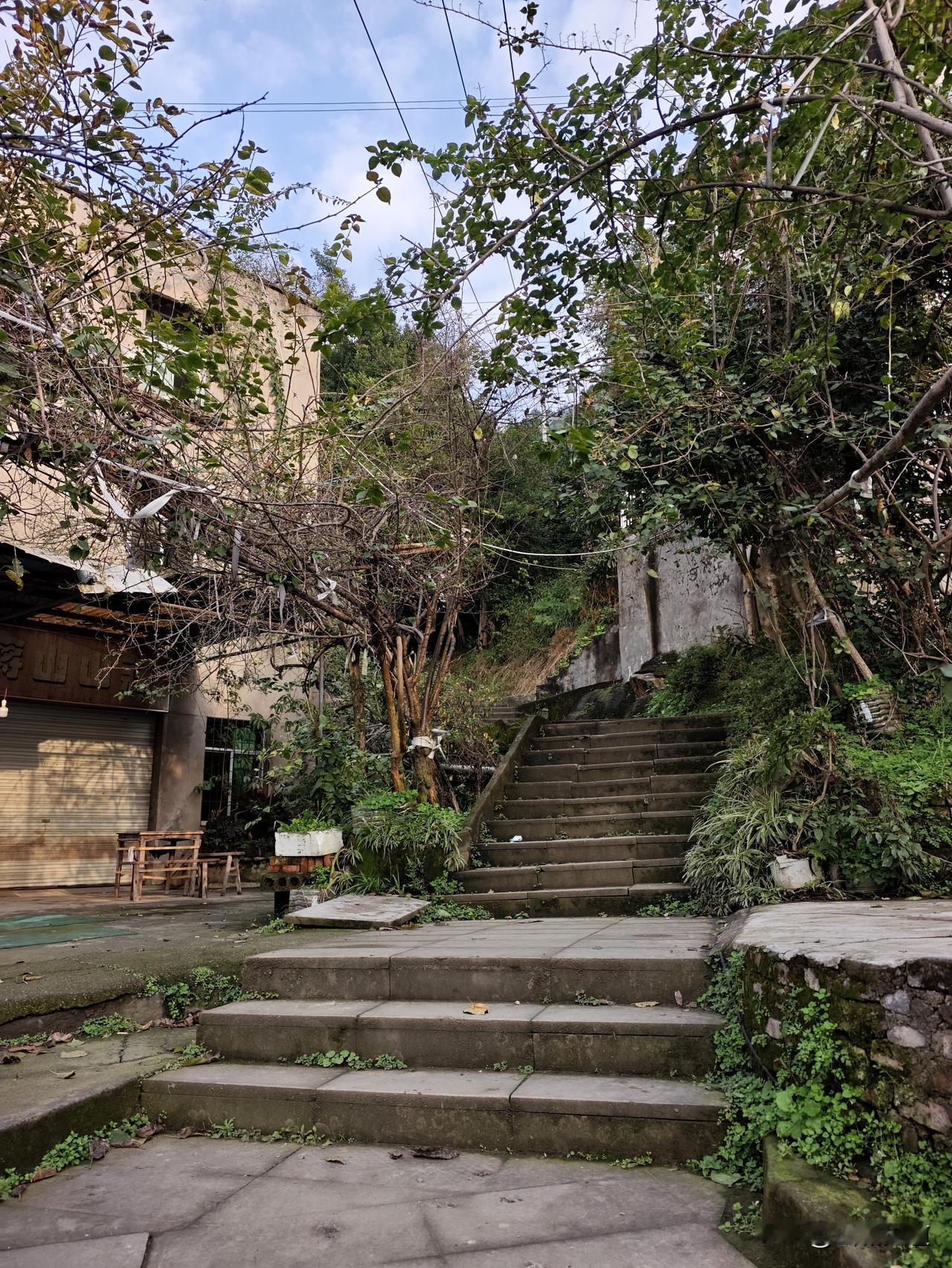 周末爬山，重庆南山。
南岸大石坝轨道涂山站起，走指月峰步道经五马水库到黄山抗战遗