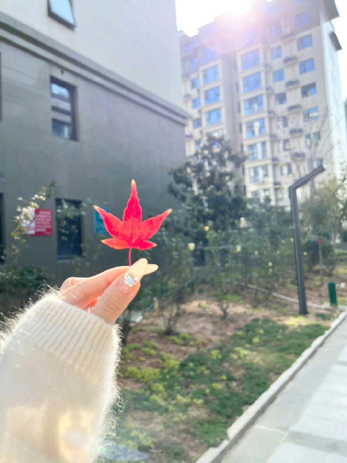 我能和你闹，说明你很重要。如果有一天你发现，我不再和你斤斤计较，不是懂事，不是原