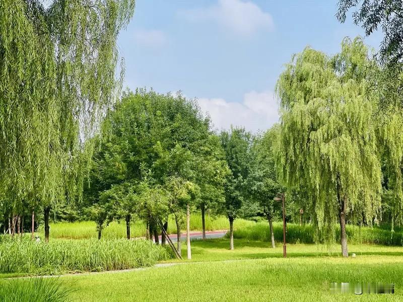 独处究竟是享受还是孤独，得看是主动还是被动。主动选择独处，那简直是人间美事。我就