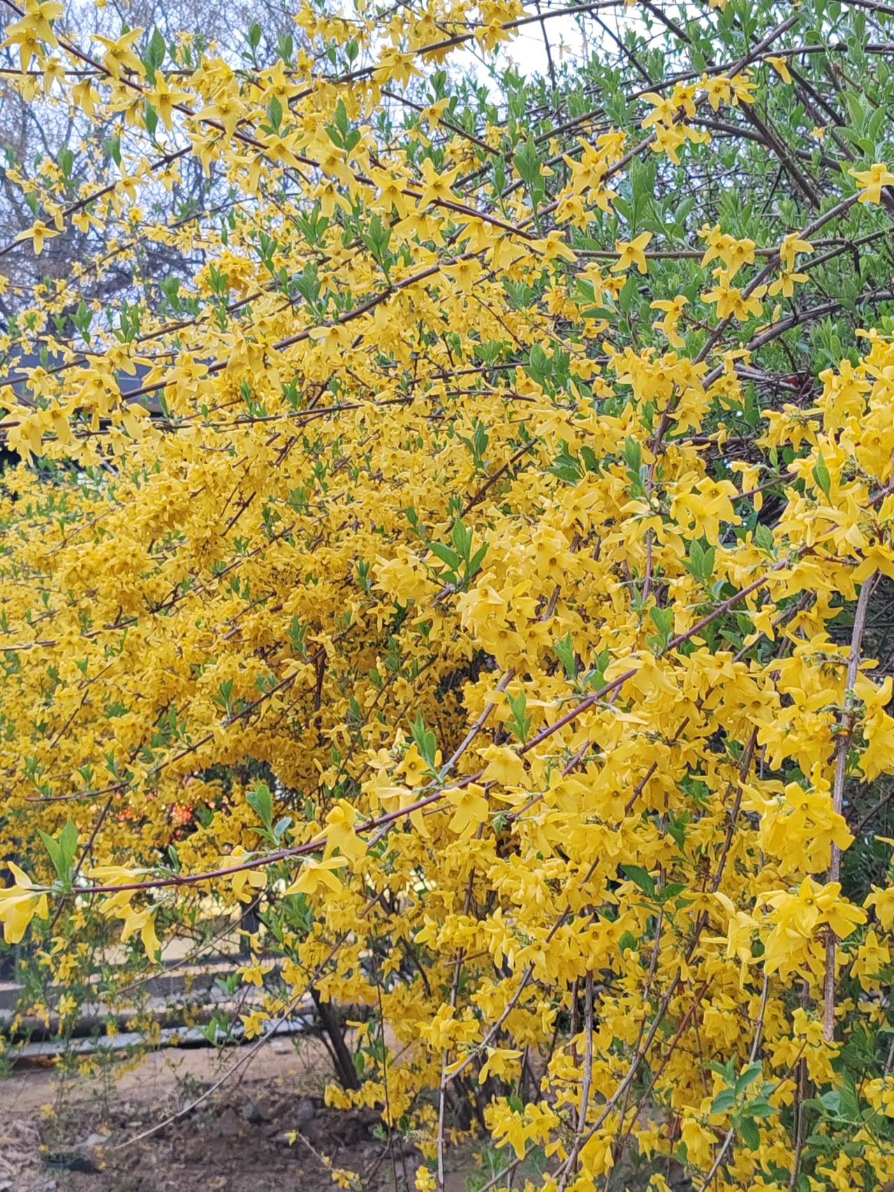 法律规定，父母对儿女的抚育到18周岁为止。实际上，年满16周岁且有经济收入的孩子