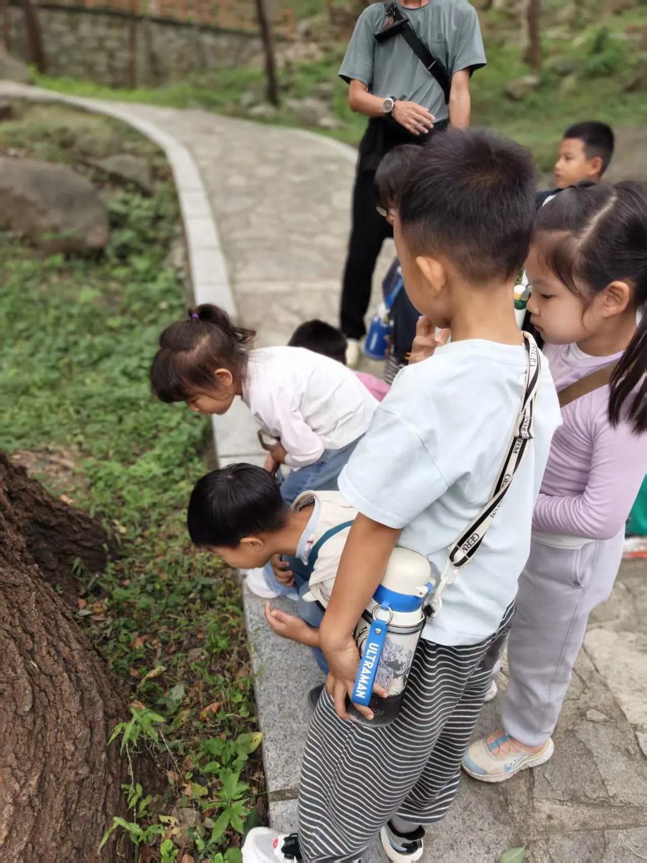 每月一游，云野自然幼儿园的孩子们踏上封龙山之旅。林间清风拂面，草木散发清香，孩子