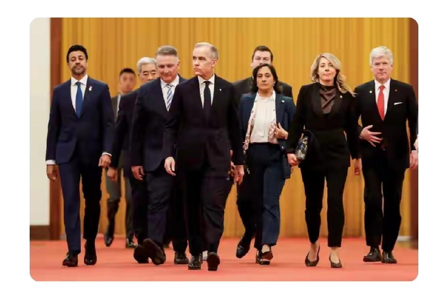 2024年11月，加拿大特鲁多政府下令TikTok停止在加运营，理由是所谓的“国