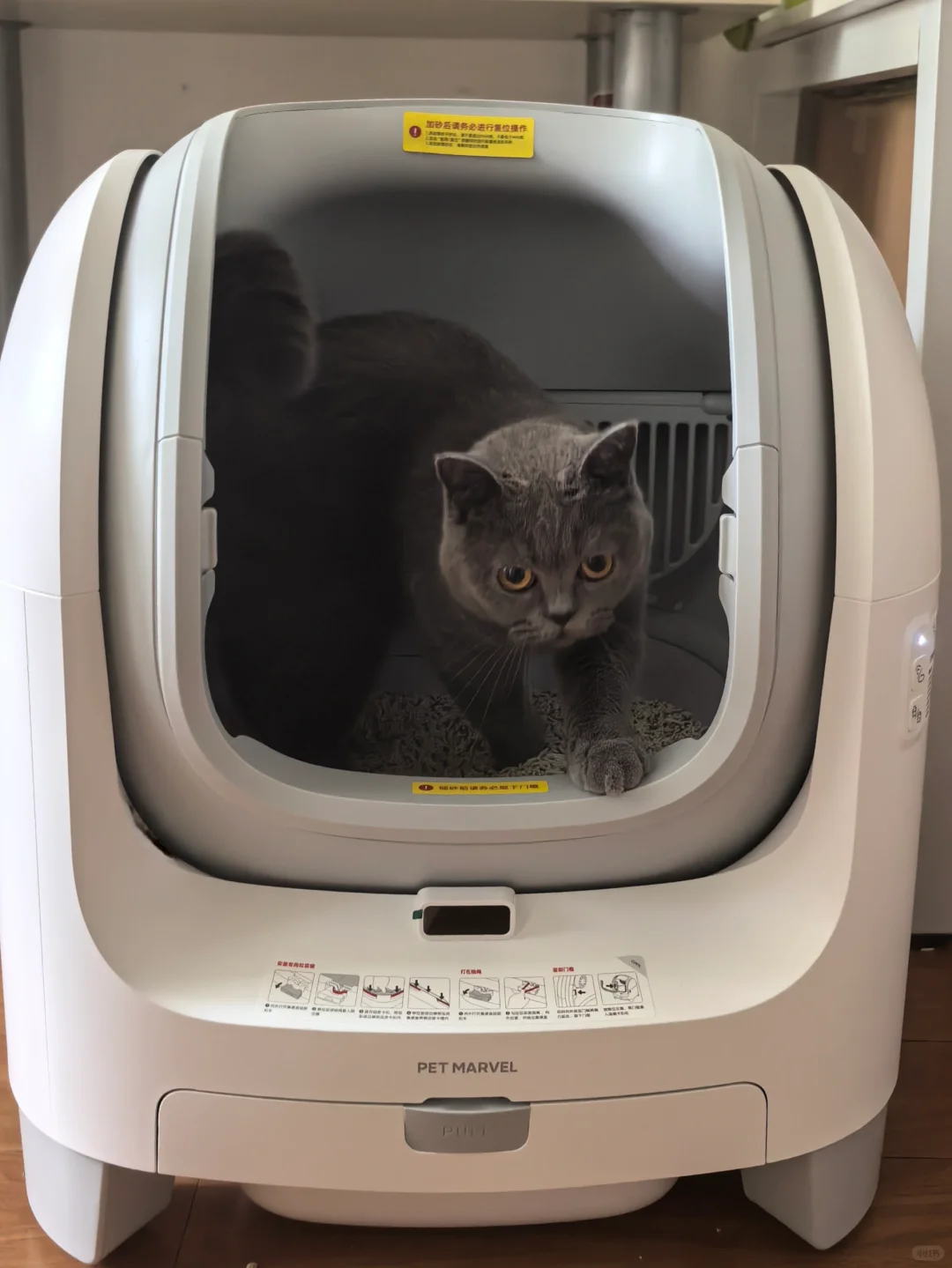 2周才适应自动猫砂盆 多猫家庭真的有一台