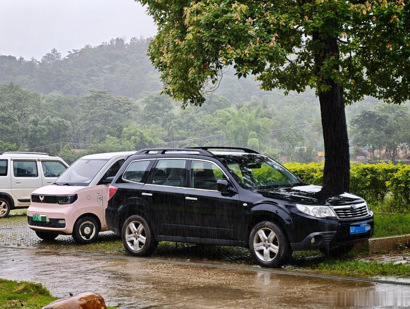 深山民宿老板的车——有点年份的森林人，和一直在进进出出的宏光MINI EV。显然