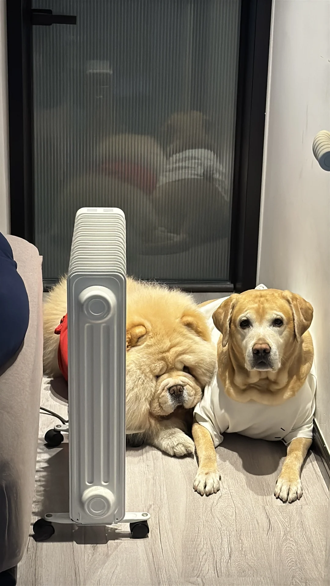 你们两个是在取暖吗哈哈哈哈哈哈哈