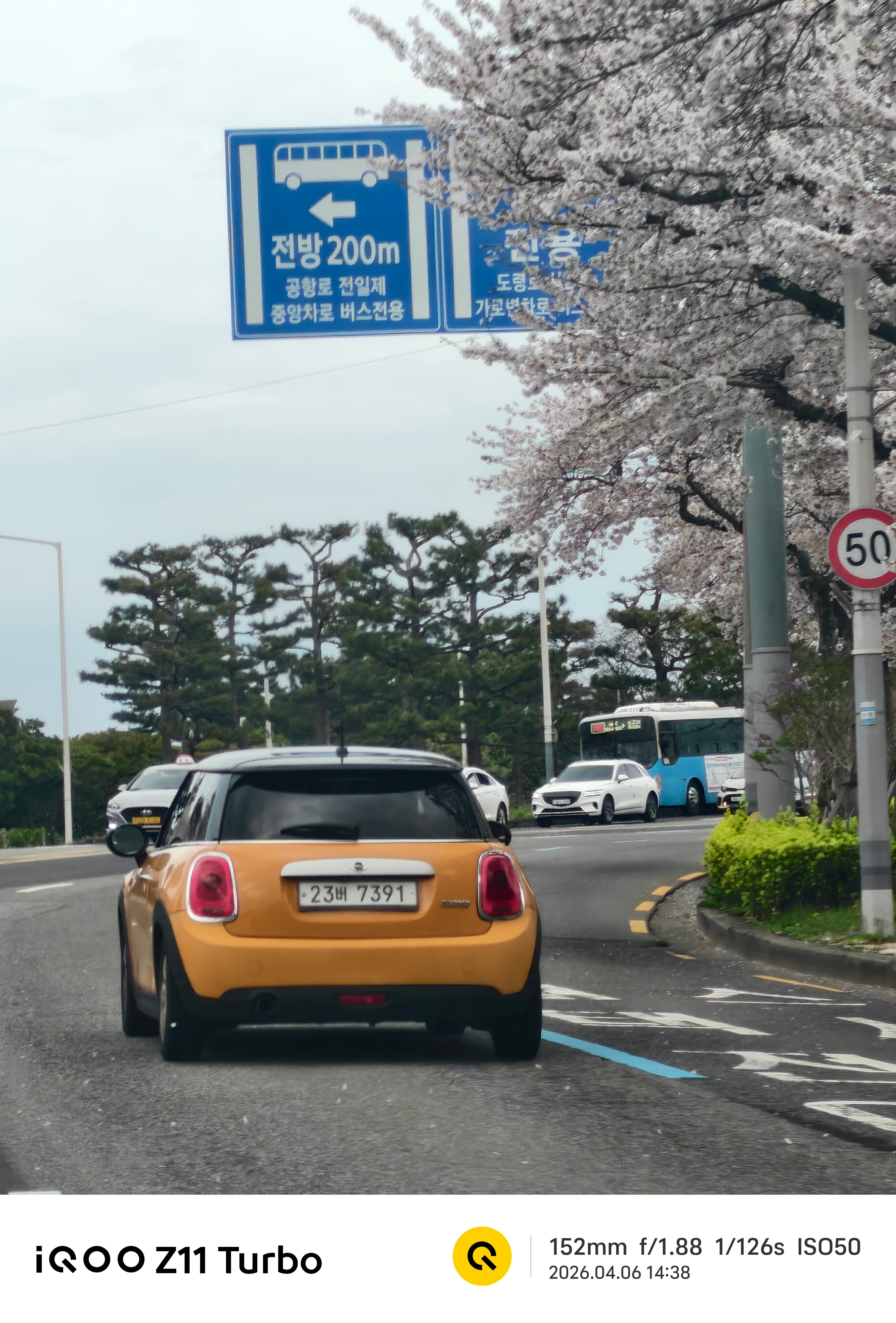 今天拍到的可爱车车和花花，韩国一般车的颜色不是黑色就是白色，很少有这么鲜艳的车车