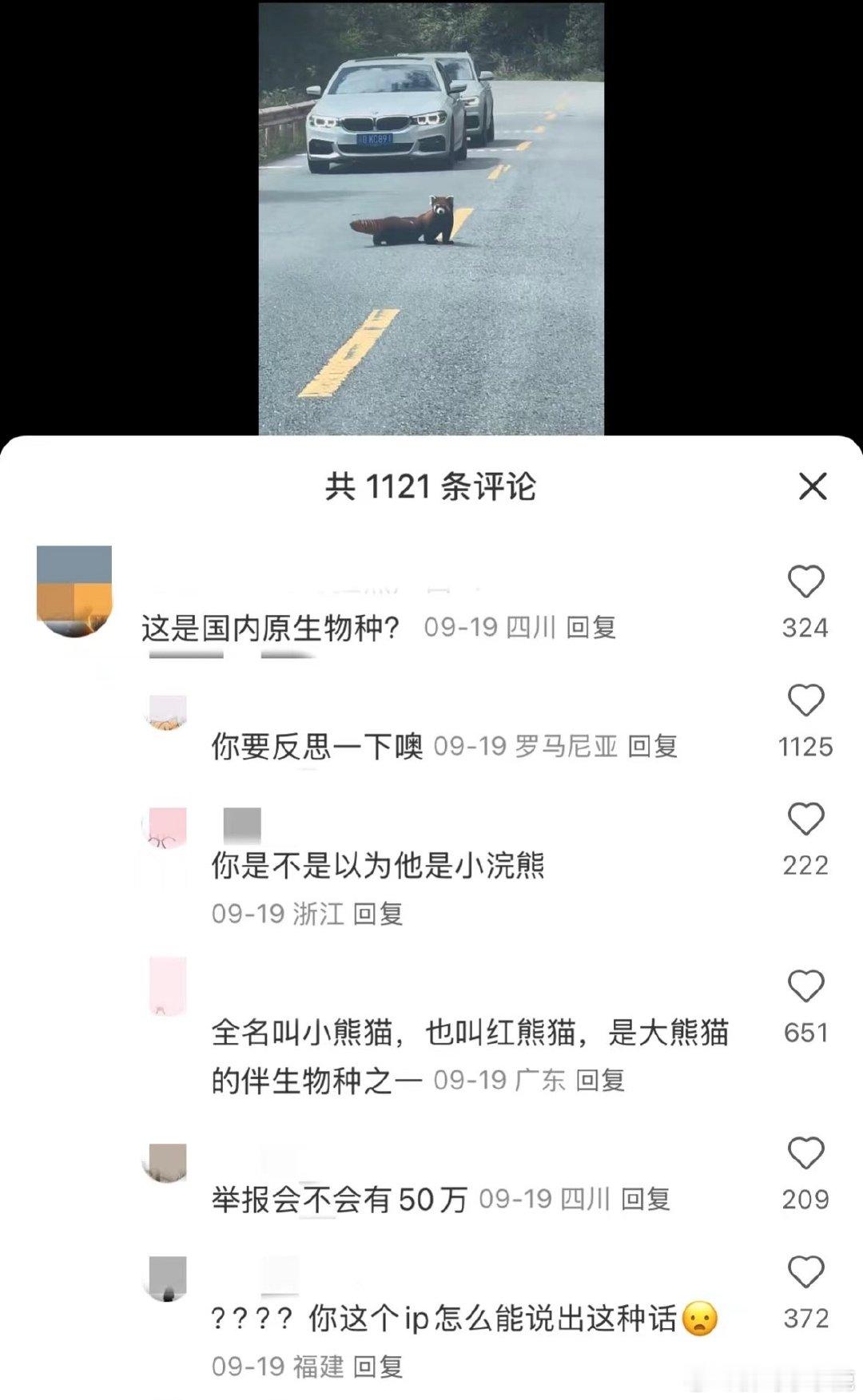 #谍影重重# ​​​