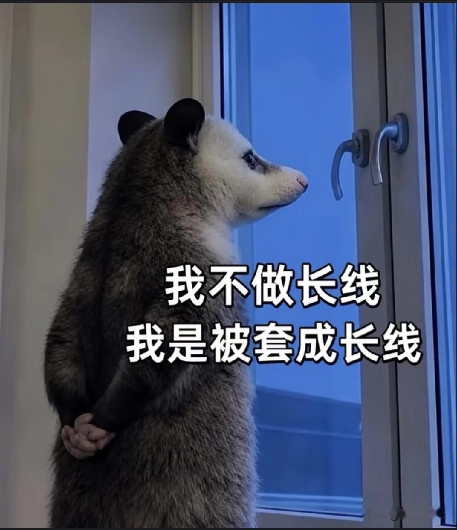 我手里就剩一只票了，说实话，今晚终于能睡个安稳觉了。

今天尾盘那波冲高，我没犹