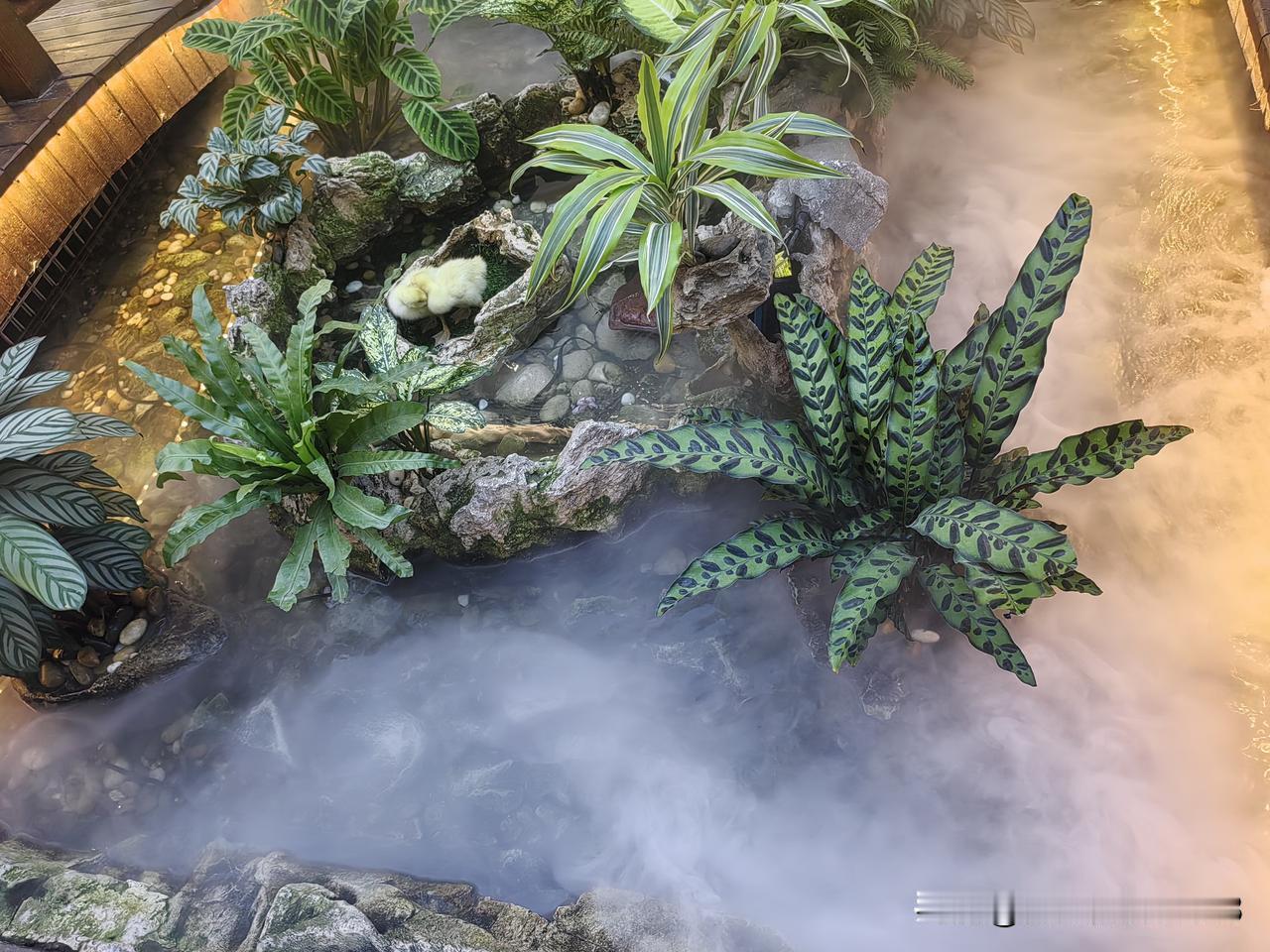 来西安旅游，本想着进商场吹吹空调歇个脚，万万没想到直接逛出景区的感觉。
 
下到