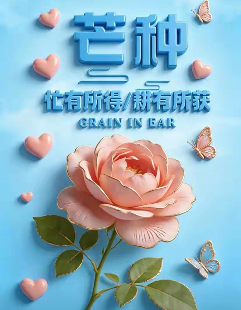 🌺☘️6./5.清风吹沃野.盛夏伴朝夕🌺

🌈🌾今日芒种，芒种是时节麦熟