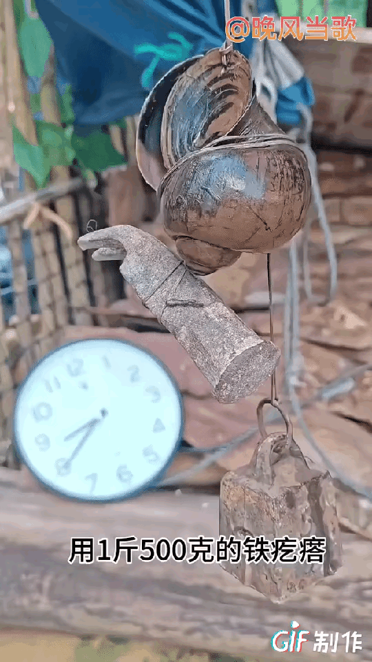 这是犯了什么大错啊？
至于这么为难一只螺吗？