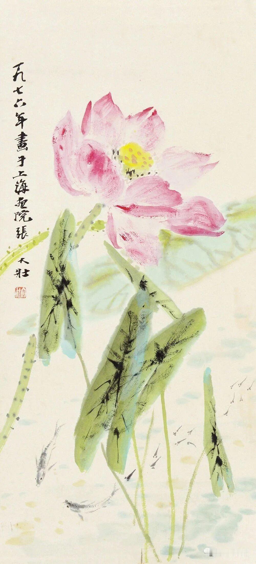 你家里养绿植了吗