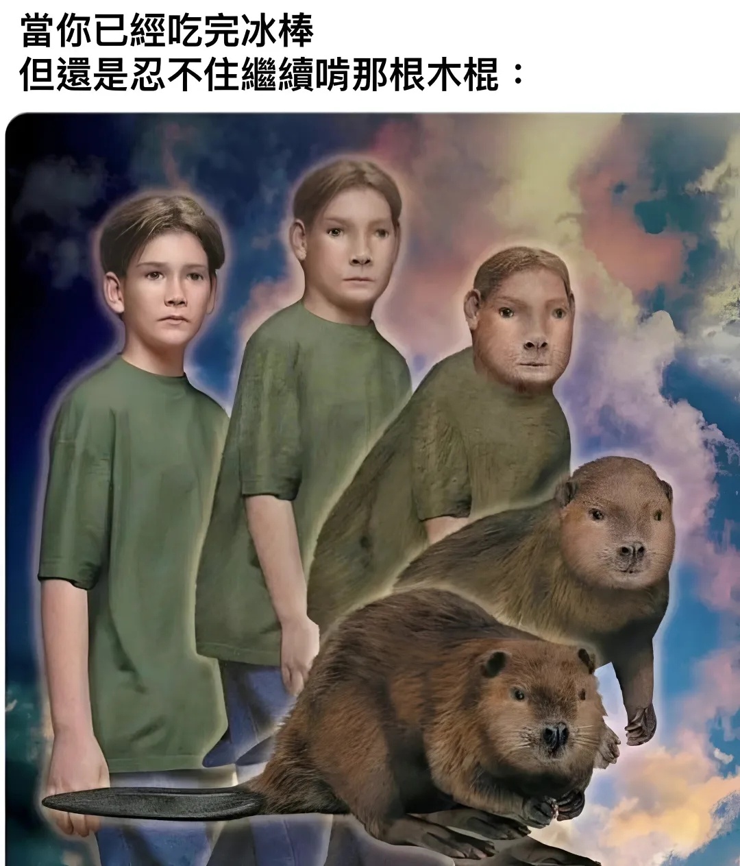 没记住雪糕是什么味道，但绝对记住了木棒的味道 meme[超话] / 