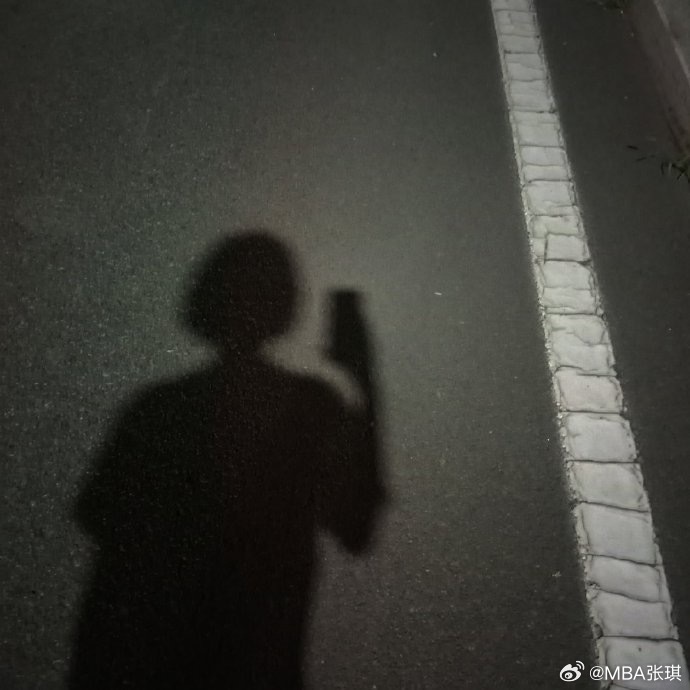 这个世界上虽有许多人可以告诉我们远处美丽的风景，却没有一个人能代替我们走茫茫的夜