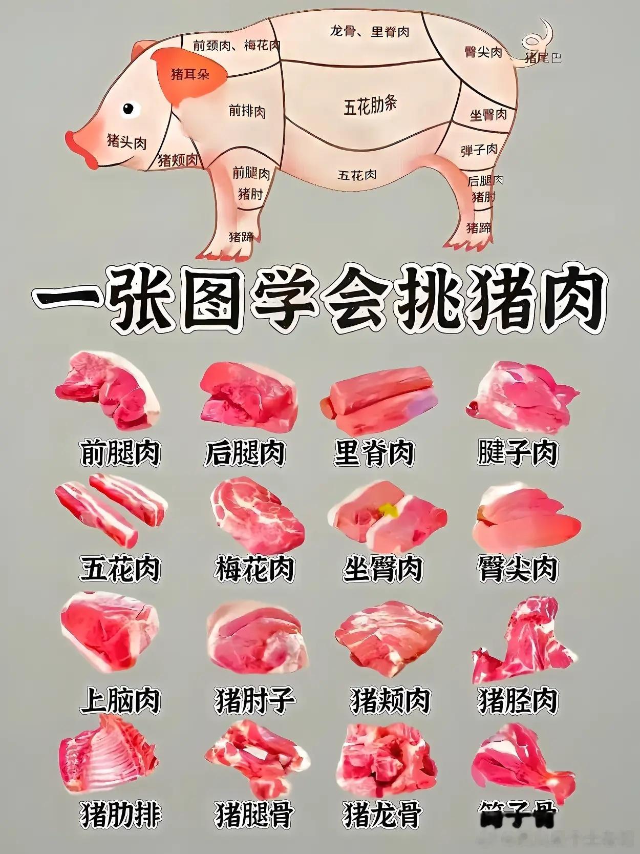 一幅图看懂不同部位的猪肉，最好吃的应该是猪前腿部位的梅花肉。 ​​​