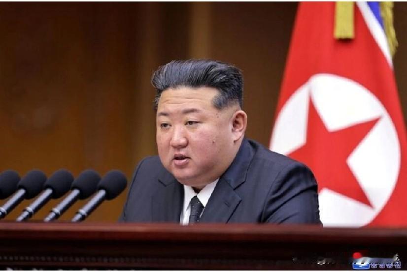 朝鲜最高领导人呼吁加强朝鲜核武器的“盾与剑”！
首尔(路透社)-朝鲜领导人金正恩